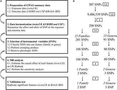 Assessment of Causal Direction Between Gut Microbiota and Inflammatory Bowel Disease: A Mendelian Randomization Analysis